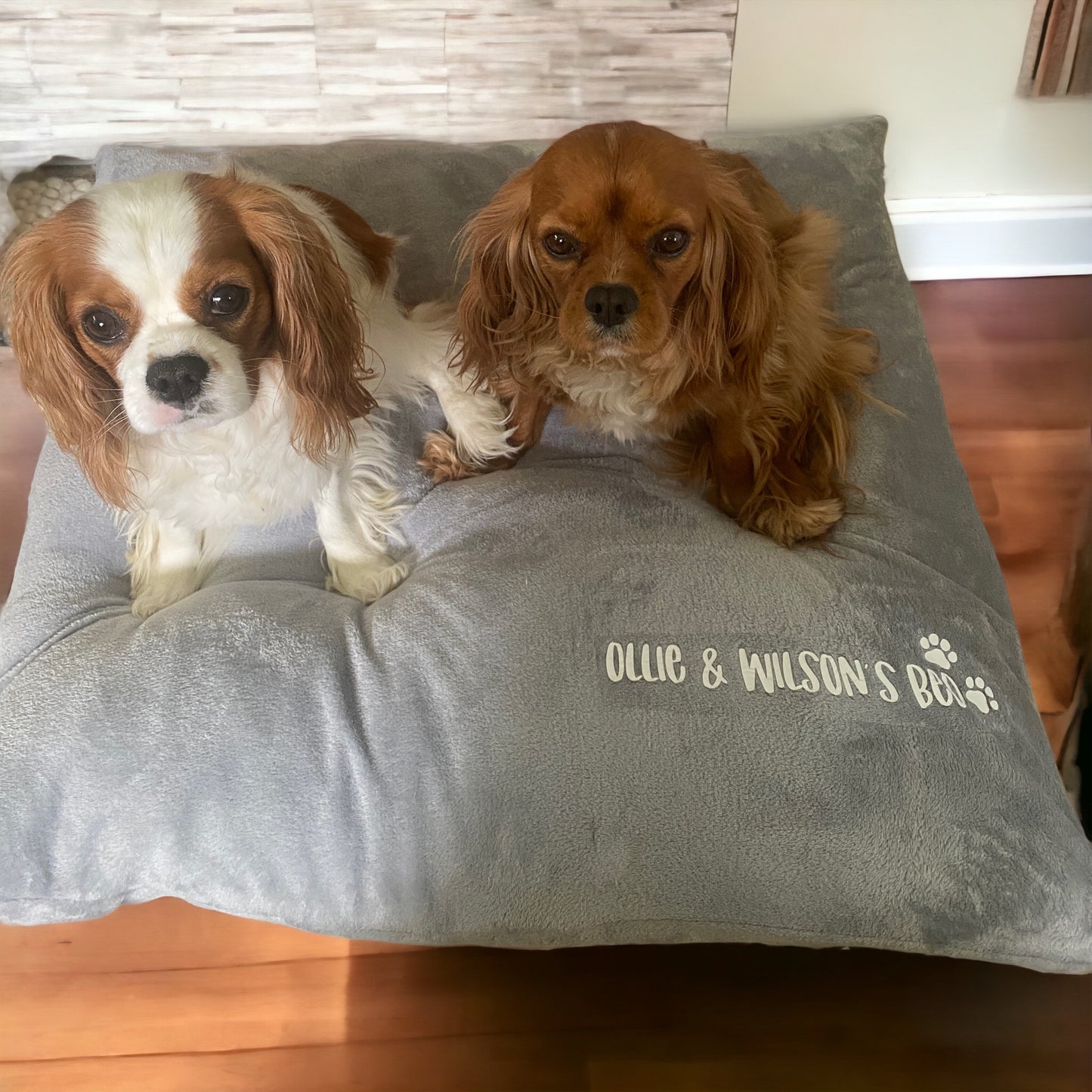 Dog Beds - Pillow Beds for your Fur Baby Personalised