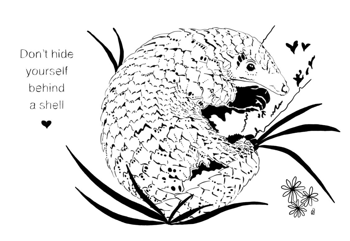 Don't Hide Behind A Shell